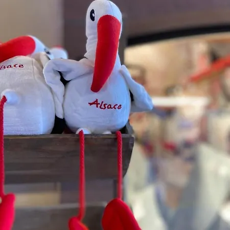 דירה Chez Lio & Jess אוברנאי