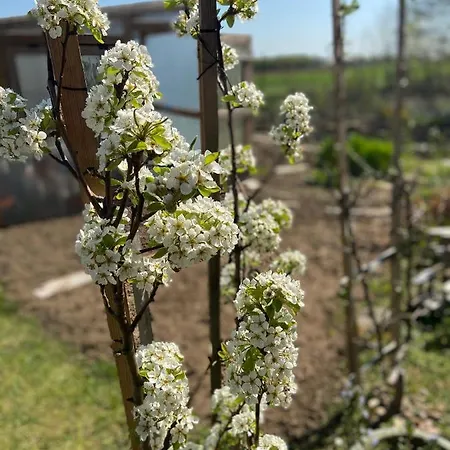 דירה Chez Lio & Jess